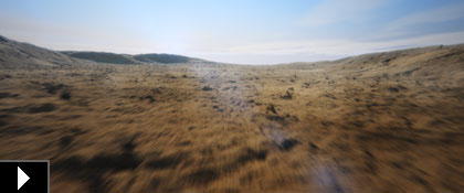 LANDSCAPE 01