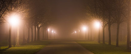 MISTY LUDWIGSBURG